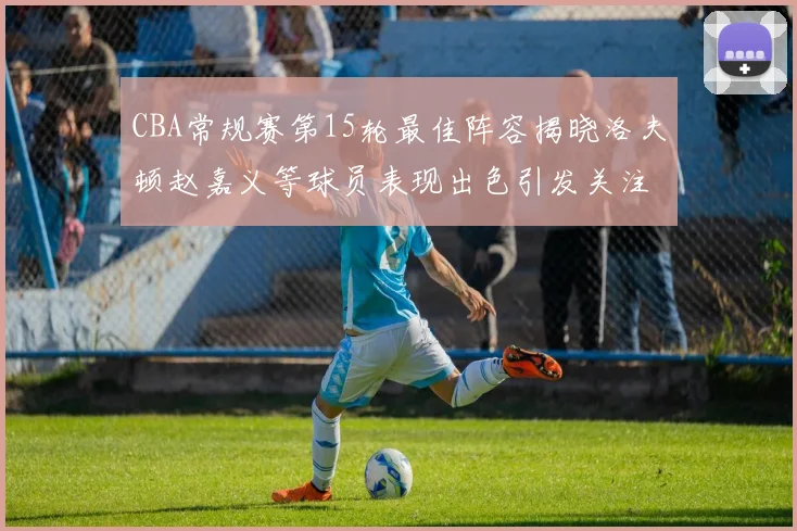 CBA常规赛第15轮最佳阵容揭晓洛夫顿赵嘉义等球员表现出色引发关注