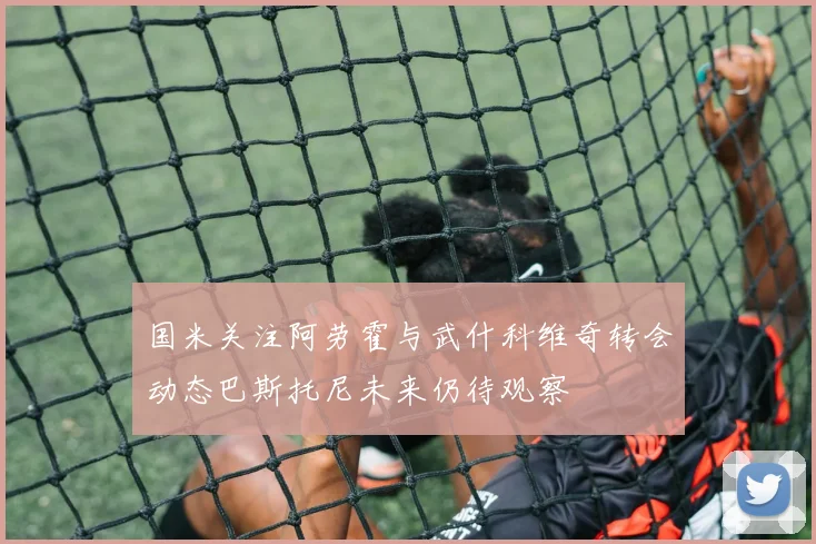 国米关注阿劳霍与武什科维奇转会动态巴斯托尼未来仍待观察