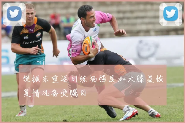 樊振东重返训练场强度加大膝盖恢复情况备受瞩目